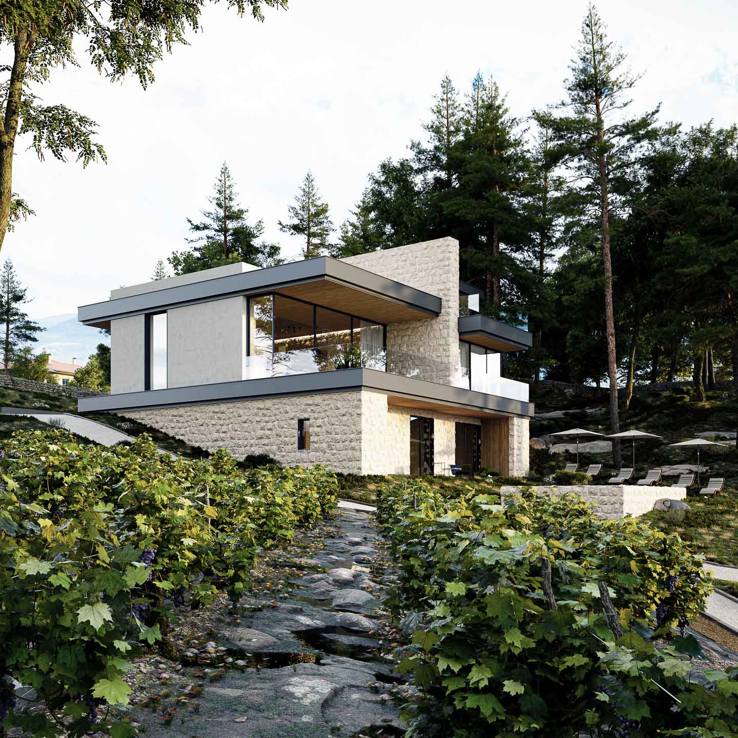 A rendering of a stone-and-white house set on a vineyard slope, among pines.