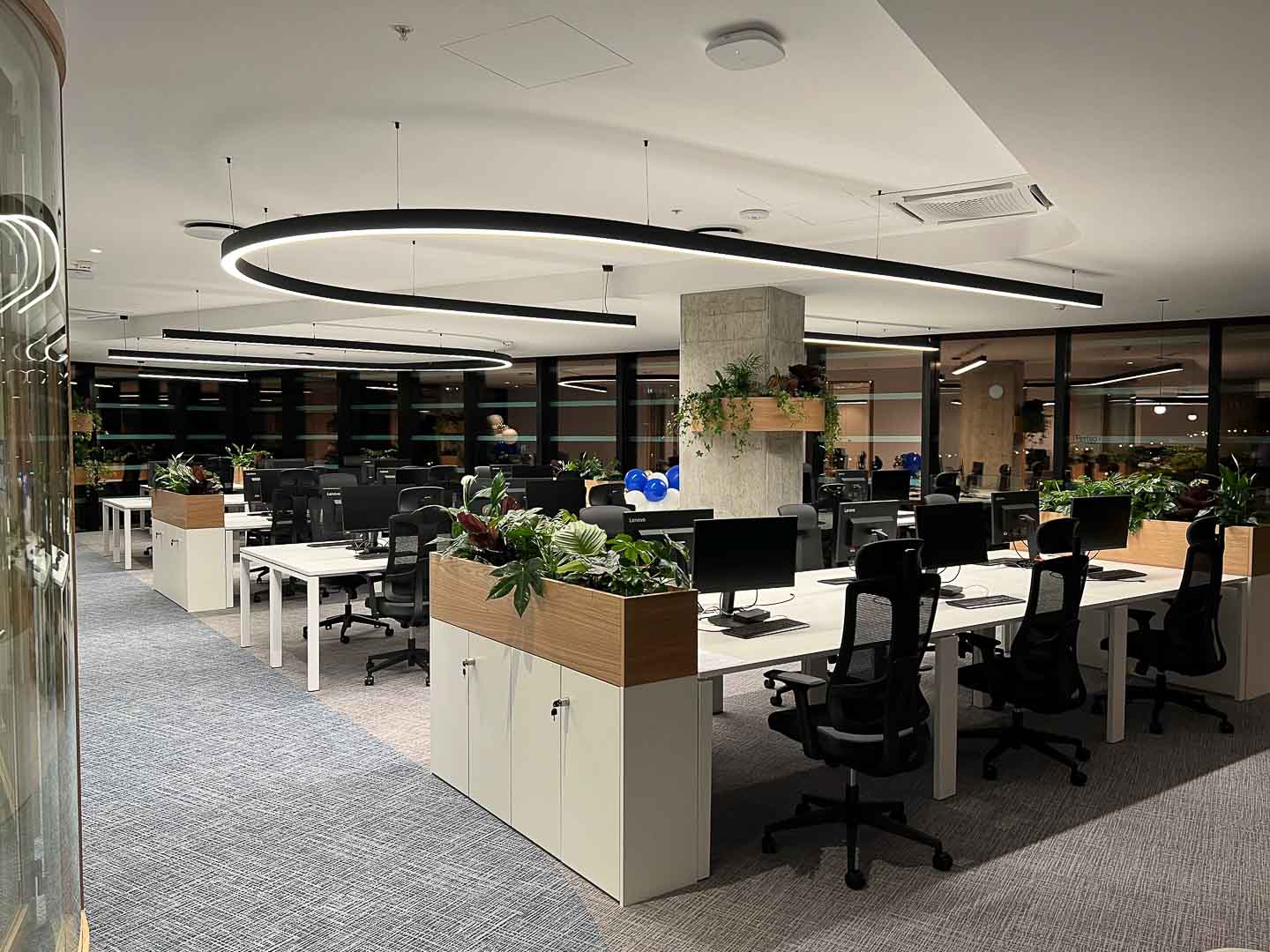 An open-plan office with rows of desks, circular pendant lights and planters between the benches.