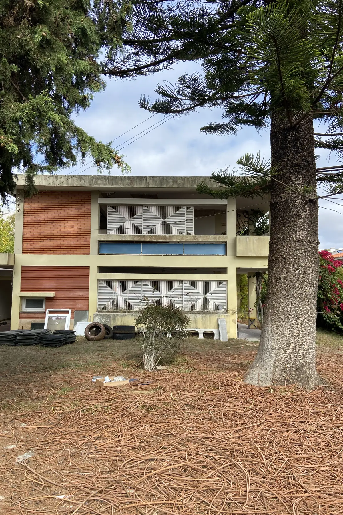 The garden elevation seen past the trunk of a large tree: two floors, brick panels and pale horizontal bands, white screen panels behind the balconies, a blue band between the floors, and fallen twigs in the foreground.