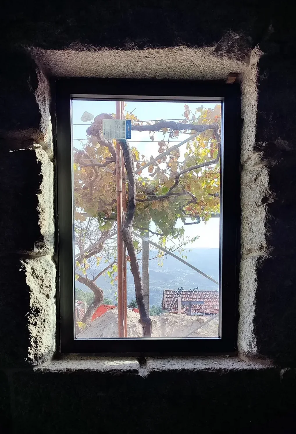 A window set deep in a dark granite wall, framing a vine trunk and the valley beyond.