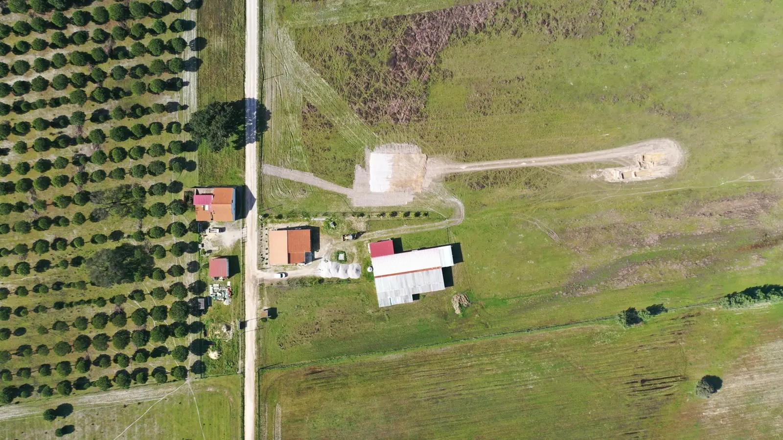 An aerial view of open farmland with an orchard on one side, a track and two small farm buildings, and no construction anywhere.