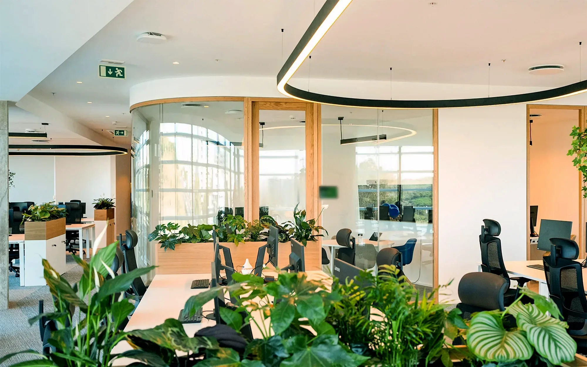 A glazed meeting room with light timber framing and one curved face, seen across the workspace over dense timber planters, with a lit room-booking panel beside the door and a ring of suspended linear lighting above.