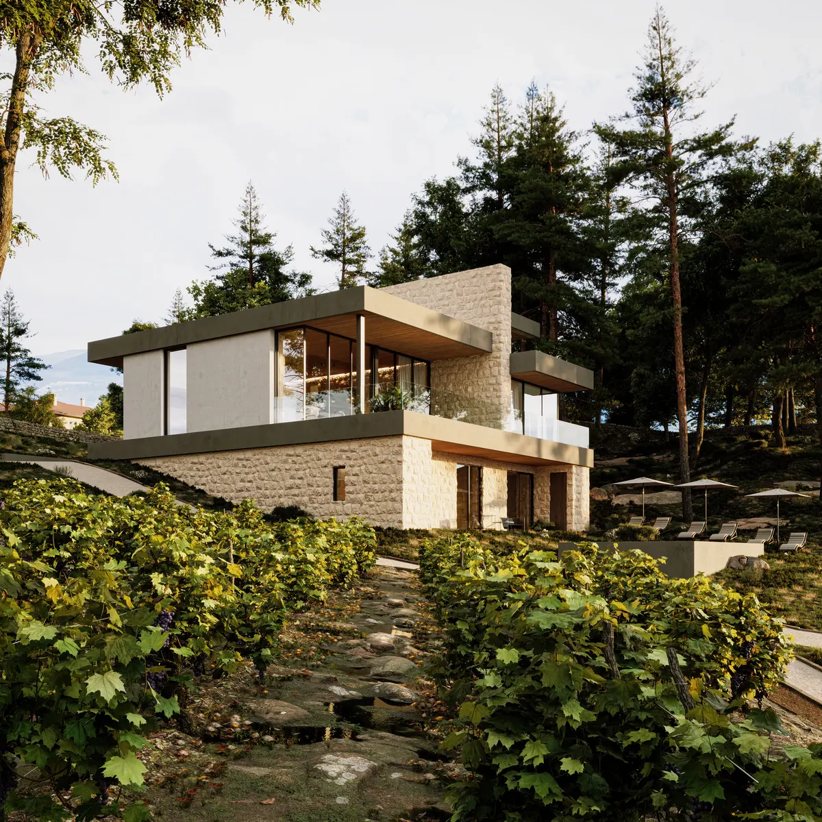 The house from below, cantilevered out of the hillside above rows of vines: a stone base, a glazed upper floor set back under a dark eaves line, and pine woodland closing behind it.